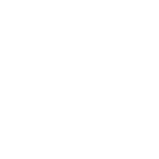 Discord icon