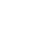 TikTok icon