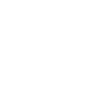 Tumblr icon